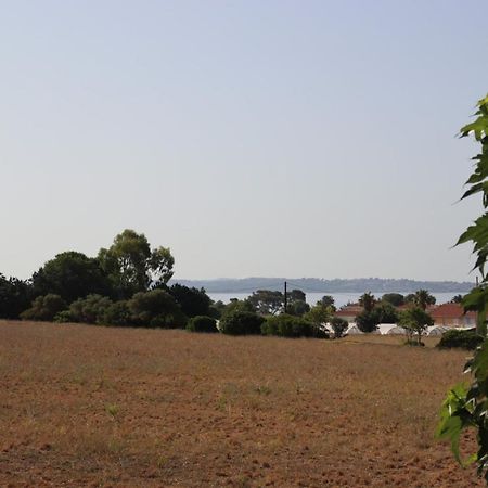 Le Petit Sud Daire Carqueiranne Dış mekan fotoğraf